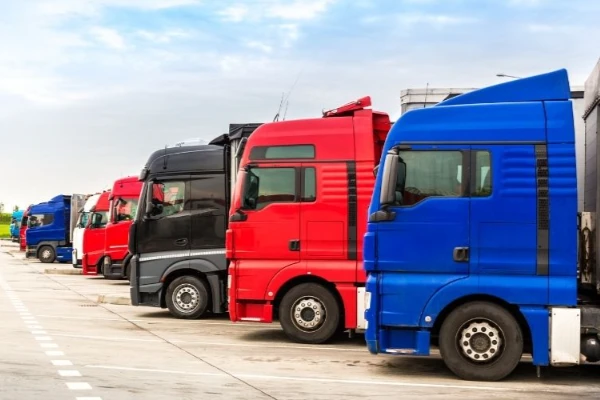 Bursa Oltu Ambar